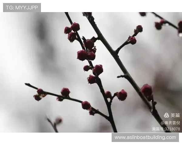冬风送暖迎春到,忙碌时节奏新篇 冬风送暖迎春到,忙碌时节奏新篇
