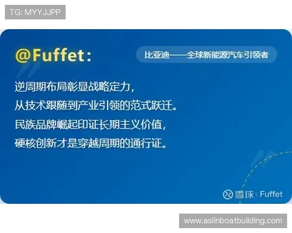 太阳城公司引领新能源产业创新发展战略与未来布局研究